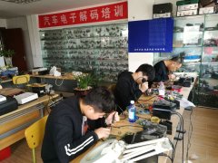 爱插逼逼